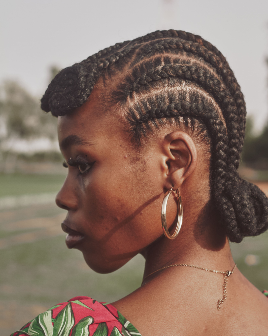 autumn braids (2)